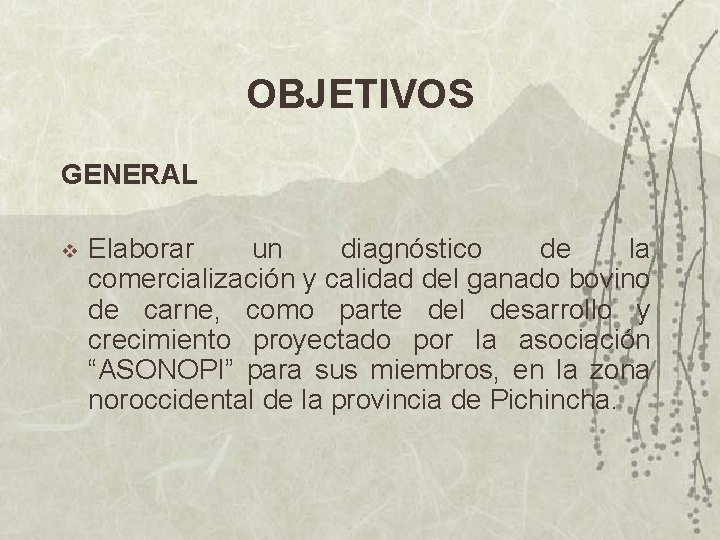 OBJETIVOS GENERAL v Elaborar un diagnóstico de la comercialización y calidad del ganado bovino