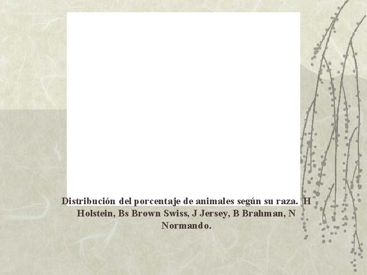 Distribución del porcentaje de animales según su raza. H Holstein, Bs Brown Swiss, J