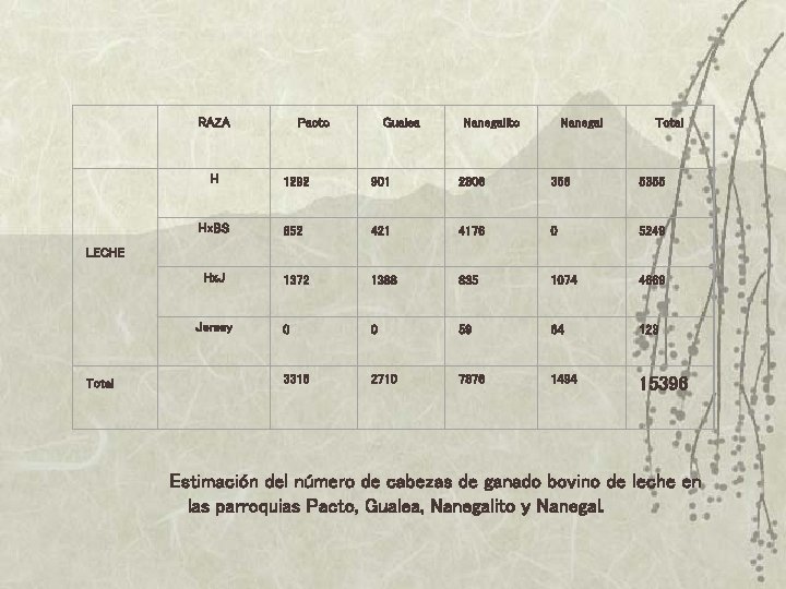 RAZA Pacto Gualea Nanegalito Nanegal Total H 1292 901 2806 356 5355 Hx. BS