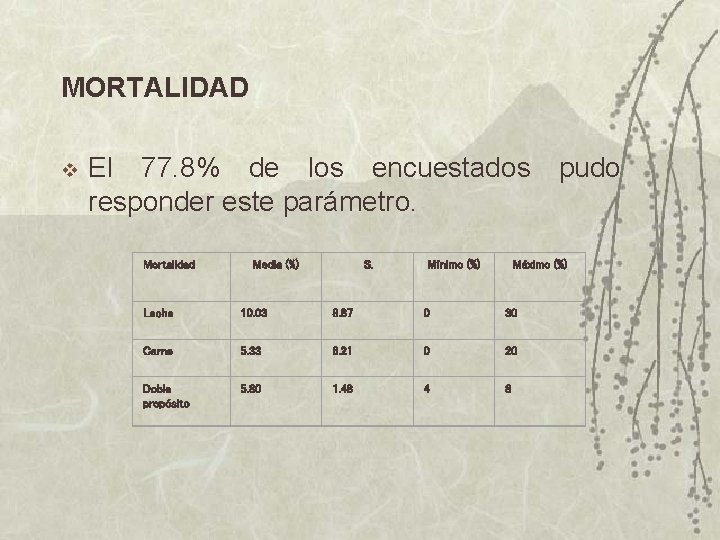 MORTALIDAD v El 77. 8% de los encuestados responder este parámetro. Mortalidad Media (%)