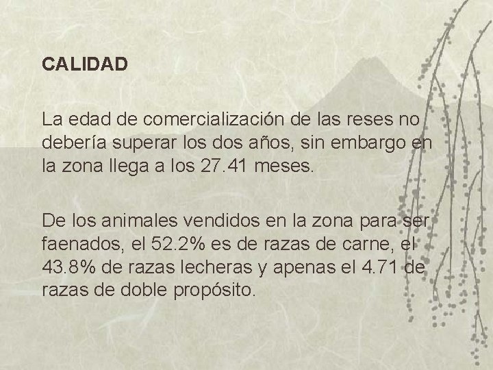 CALIDAD La edad de comercialización de las reses no debería superar los dos años,