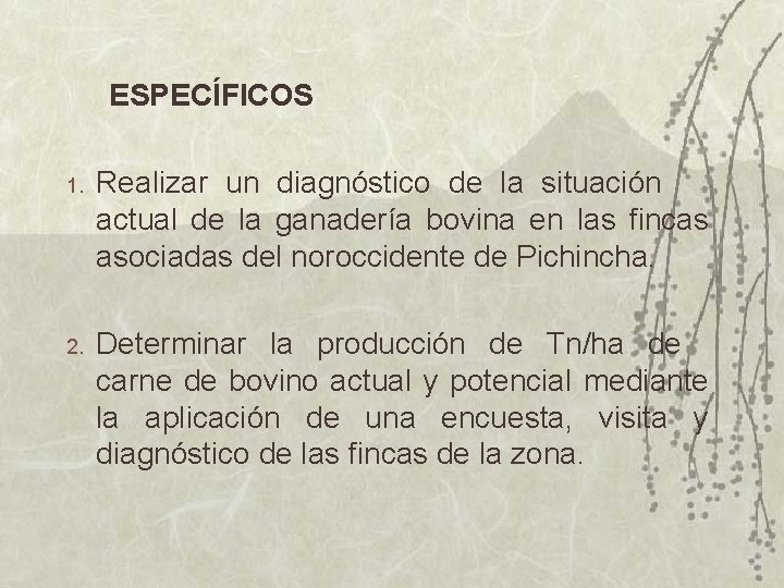 ESPECÍFICOS 1. Realizar un diagnóstico de la situación actual de la ganadería bovina en