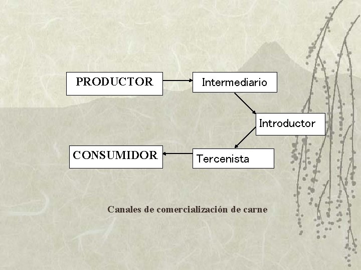 PRODUCTOR Intermediario Introductor CONSUMIDOR Tercenista Canales de comercialización de carne 