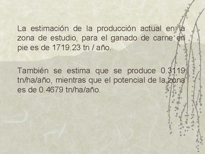 La estimación de la producción actual en la zona de estudio, para el ganado