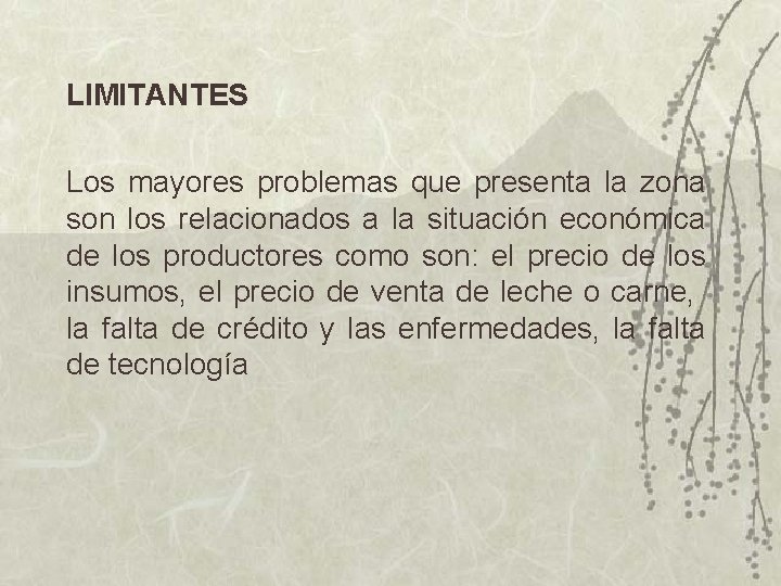 LIMITANTES Los mayores problemas que presenta la zona son los relacionados a la situación