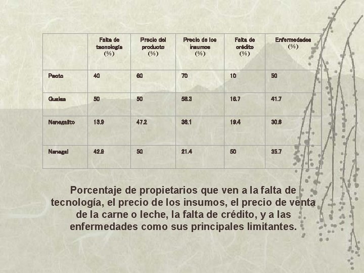 Falta de tecnología (%) Precio del producto (%) Precio de los insumos (%) Falta