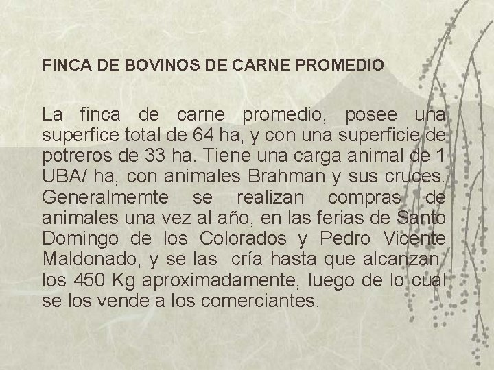 FINCA DE BOVINOS DE CARNE PROMEDIO La finca de carne promedio, posee una superfice