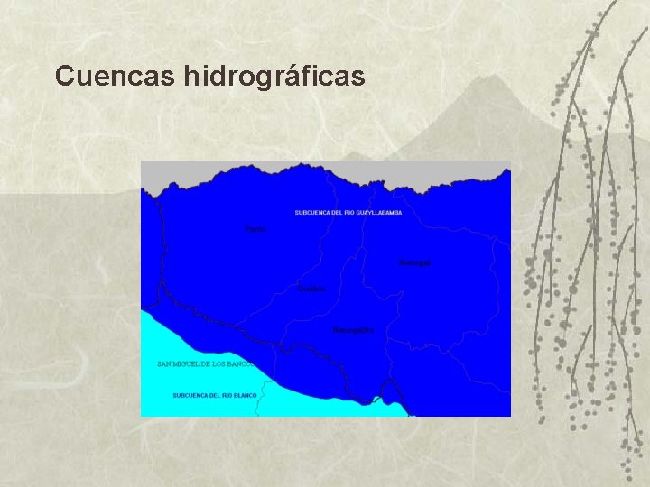 Cuencas hidrográficas 