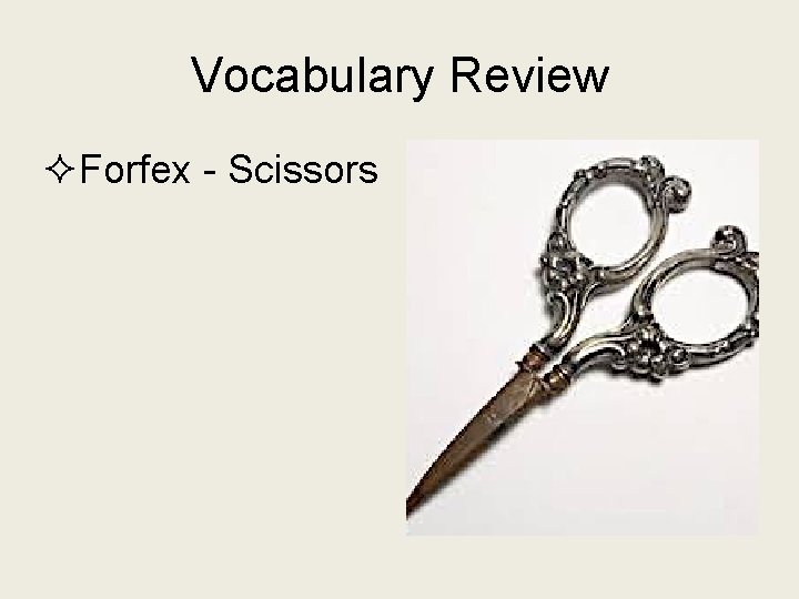 Vocabulary Review ²Forfex - Scissors 