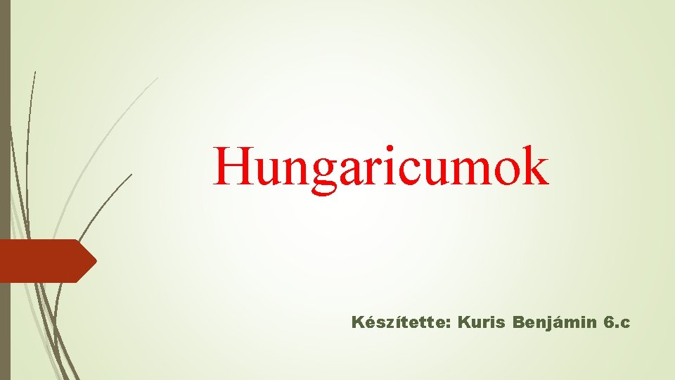 Hungaricumok Készítette: Kuris Benjámin 6. c 
