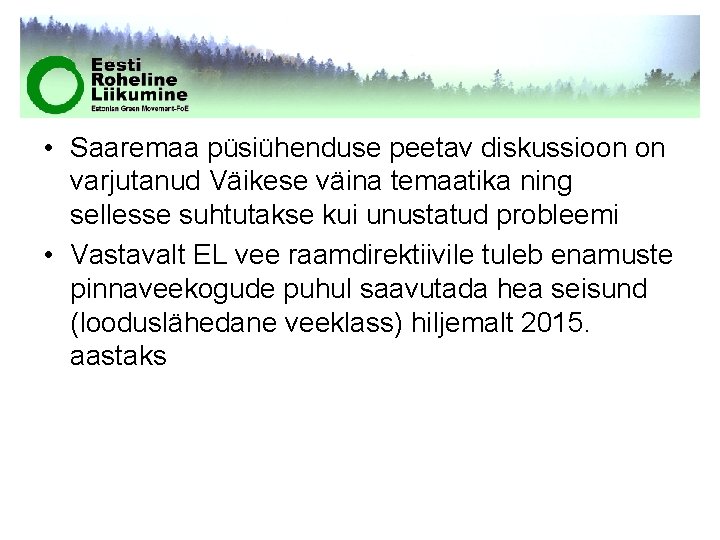  • Saaremaa püsiühenduse peetav diskussioon on varjutanud Väikese väina temaatika ning sellesse suhtutakse