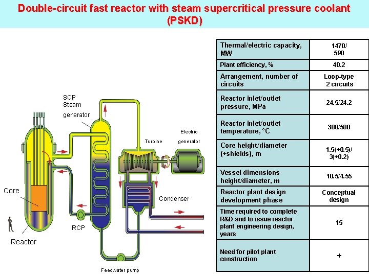 Double-circuit fast reactor with steam supercritical pressure coolant (PSKD) Thermal/electric capacity, MW 1470/ 590