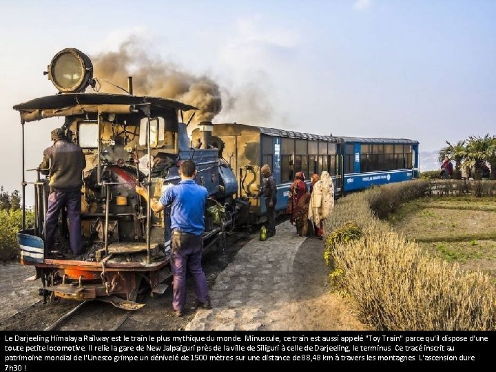 Le Darjeeling Himalaya Railway est le train le plus mythique du monde. Minuscule, ce