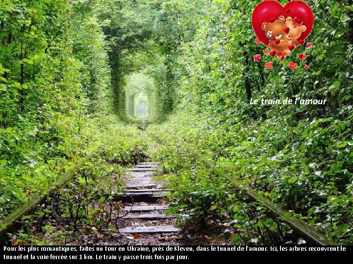 Le train de l’amour Pour les plus romantiques, faites un tour en Ukraine, près