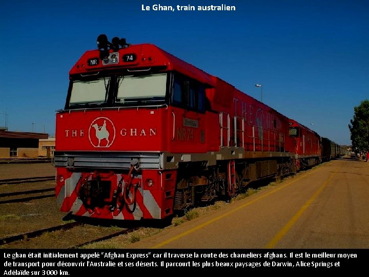 Le Ghan, train australien Le ghan était initialement appelé "Afghan Express" car il traverse