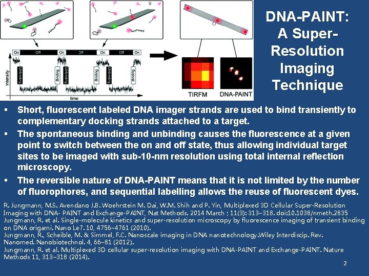 DNA-PAINT: A Super. Resolution Imaging Technique § Short, fluorescent labeled DNA imager strands are