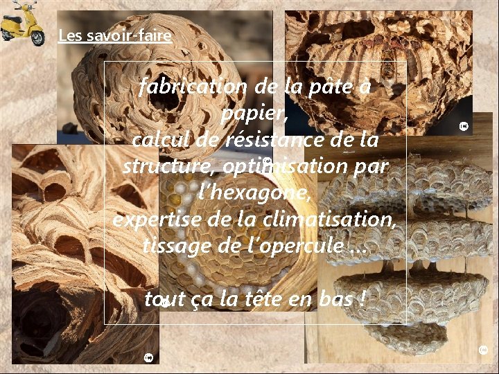 Les savoir-faire fabrication de la pâte à papier, calcul de résistance de la ©