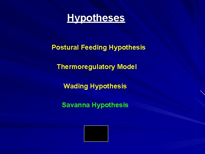 Hypotheses Postural Feeding Hypothesis Thermoregulatory Model Wading Hypothesis Savanna Hypothesis 