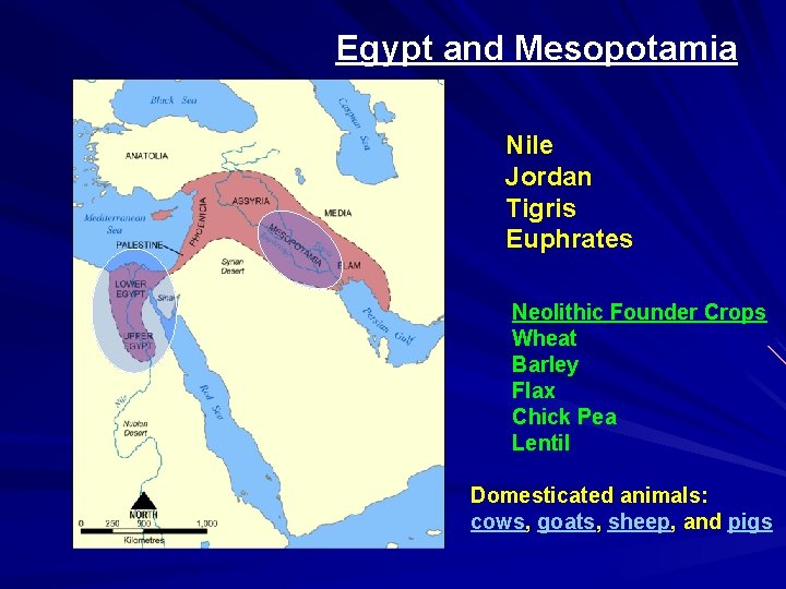 Egypt and Mesopotamia Nile Jordan Tigris Euphrates Neolithic Founder Crops Wheat Barley Flax Chick