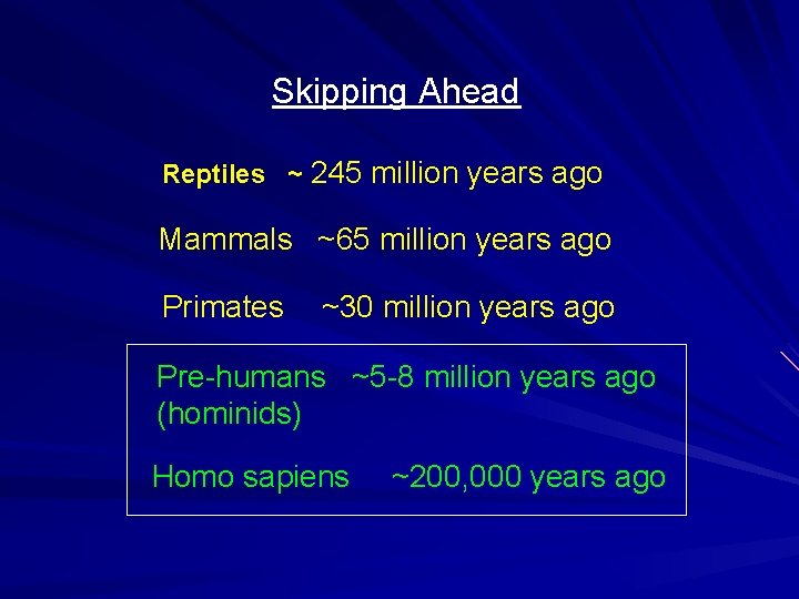 Skipping Ahead Reptiles ~ 245 million years ago Mammals ~65 million years ago Primates