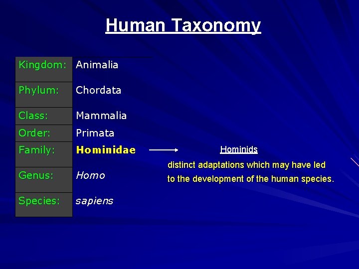 Human Taxonomy Kingdom: Animalia Phylum: Chordata Class: Mammalia Order: Primata Family: Hominidae Genus: Homo