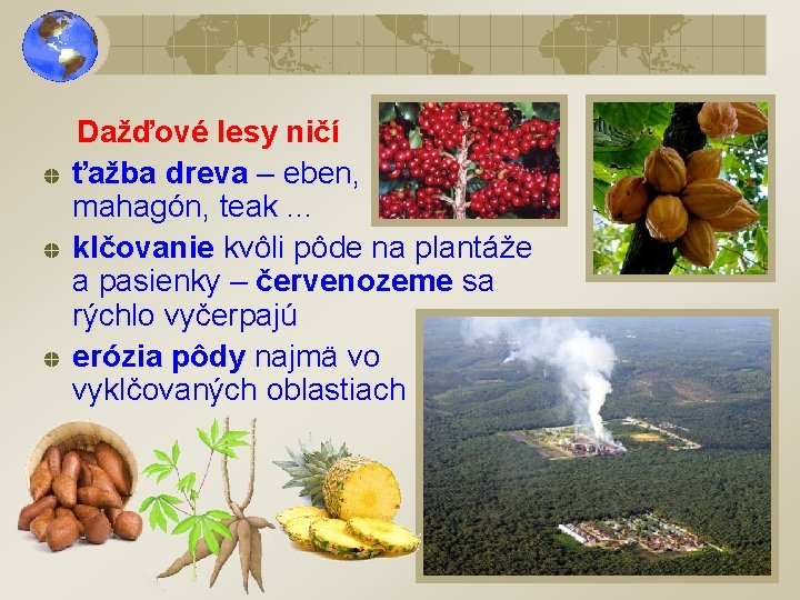 Dažďové lesy ničí ťažba dreva – eben, mahagón, teak. . . klčovanie kvôli pôde