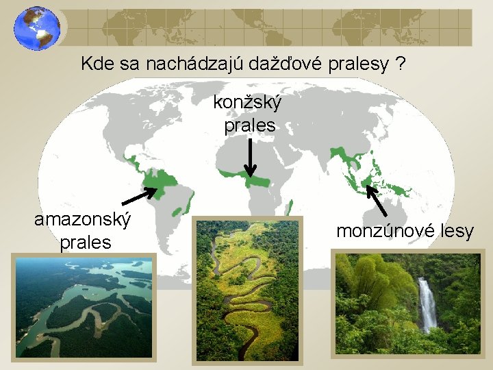 Kde sa nachádzajú dažďové pralesy ? konžský prales amazonský prales monzúnové lesy 