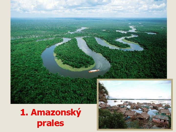 1. Amazonský prales 