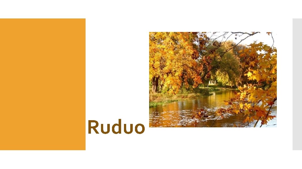 Ruduo 