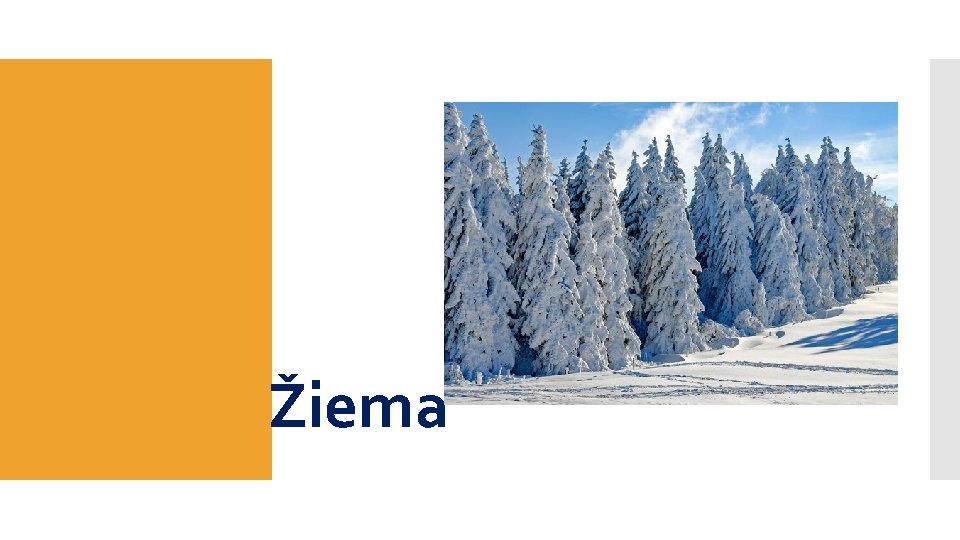 Žiema 