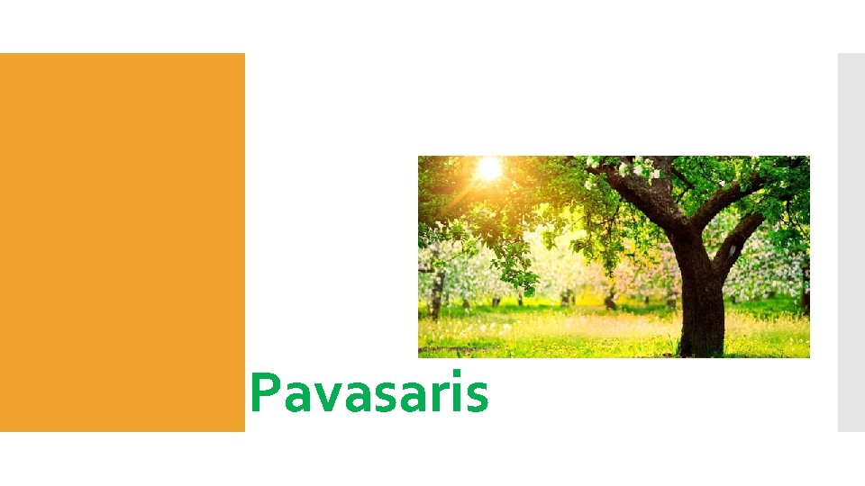 Pavasaris Pavasaris