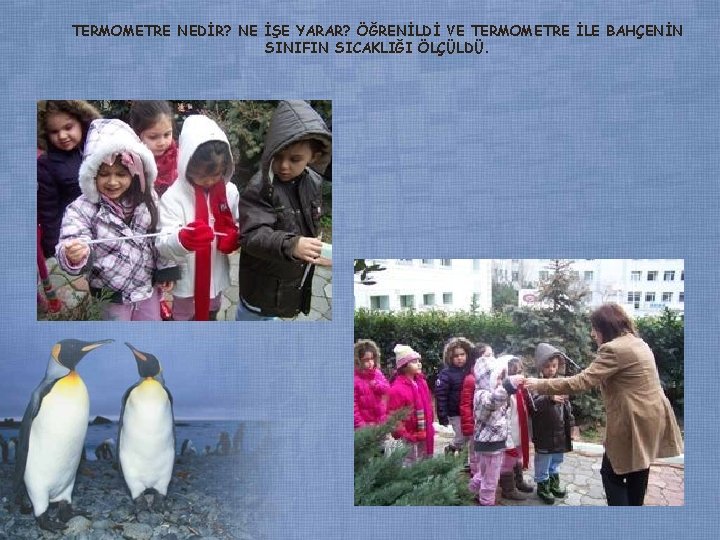TERMOMETRE NEDİR? NE İŞE YARAR? ÖĞRENİLDİ VE TERMOMETRE İLE BAHÇENİN SINIFIN SICAKLIĞI ÖLÇÜLDÜ. TERMOMETRE NEDİR? NE İŞE YARAR? ÖĞRENİLDİ VE TERMOMETRE İLE BAHÇENİN SINIFIN SICAKLIĞI ÖLÇÜLDÜ.