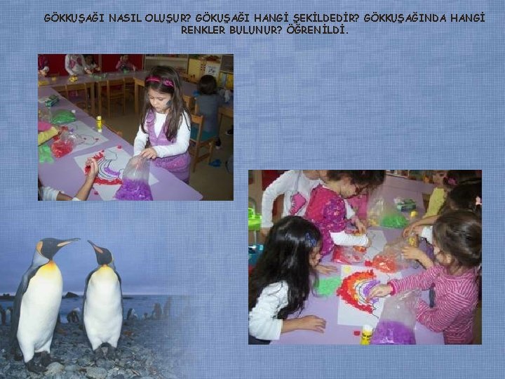 GÖKKUŞAĞI NASIL OLUŞUR? GÖKUŞAĞI HANGİ ŞEKİLDEDİR? GÖKKUŞAĞINDA HANGİ RENKLER BULUNUR? ÖĞRENİLDİ. GÖKKUŞAĞI NASIL OLUŞUR? GÖKUŞAĞI HANGİ ŞEKİLDEDİR? GÖKKUŞAĞINDA HANGİ RENKLER BULUNUR? ÖĞRENİLDİ.