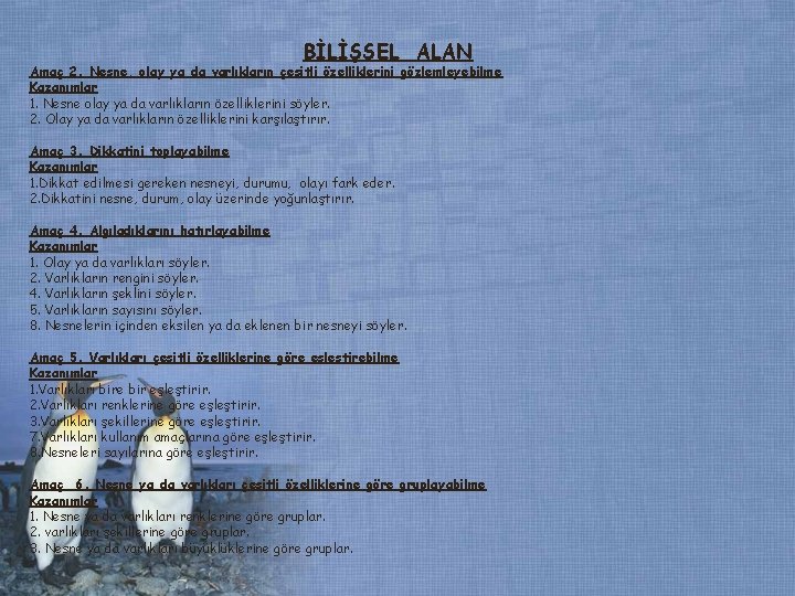 BİLİŞSEL ALAN Amaç 2. Nesne, olay ya da varlıkların çeşitli özelliklerini gözlemleyebilme Kazanımlar 1. BİLİŞSEL ALAN Amaç 2. Nesne, olay ya da varlıkların çeşitli özelliklerini gözlemleyebilme Kazanımlar 1.