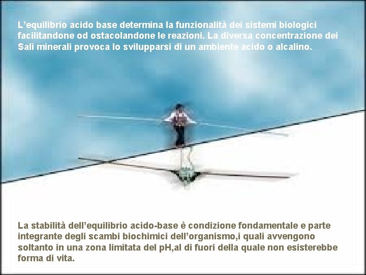 L’equilibrio acido base determina la funzionalità dei sistemi biologici facilitandone od ostacolandone le reazioni.