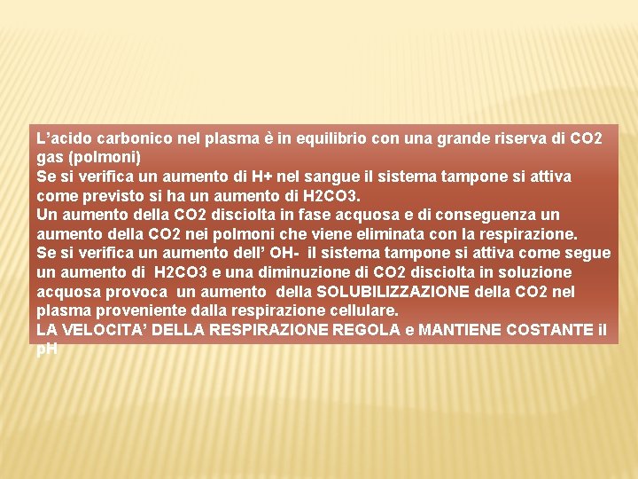 L’acido carbonico nel plasma è in equilibrio con una grande riserva di CO 2