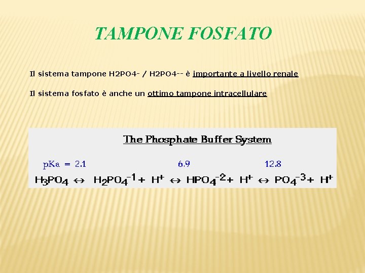 TAMPONE FOSFATO Il sistema tampone H 2 PO 4 - / H 2 PO