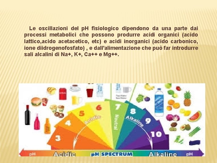 Le oscillazioni del p. H fisiologico dipendono da una parte dai processi metabolici che