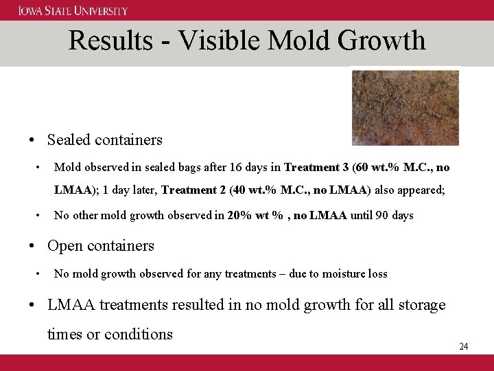 Results - Visible Mold Growth • Sealed containers • Mold observed in sealed bags