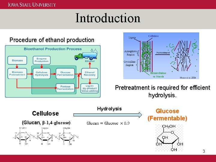 Introduction Procedure of ethanol production Pretreatment is required for efficient hydrolysis. Cellulose (Glucan, β-1,