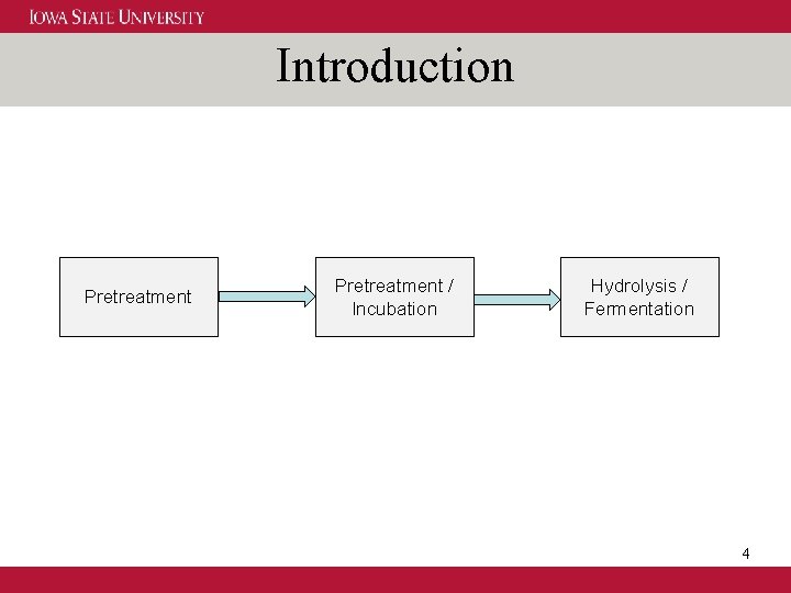 Introduction Pretreatment / Incubation Hydrolysis / Fermentation 4 