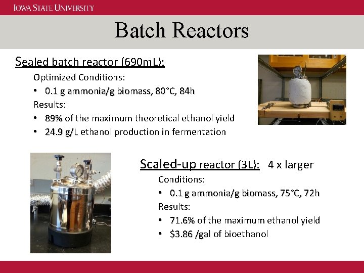 Batch Reactors Sealed batch reactor (690 m. L): Optimized Conditions: • 0. 1 g