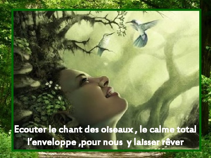 Ecouter le chant des oiseaux , le calme total l’enveloppe , pour nous y