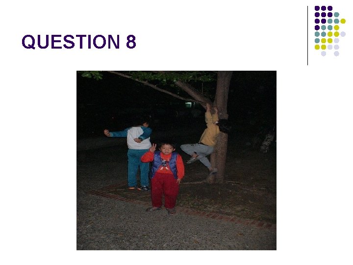 QUESTION 8 