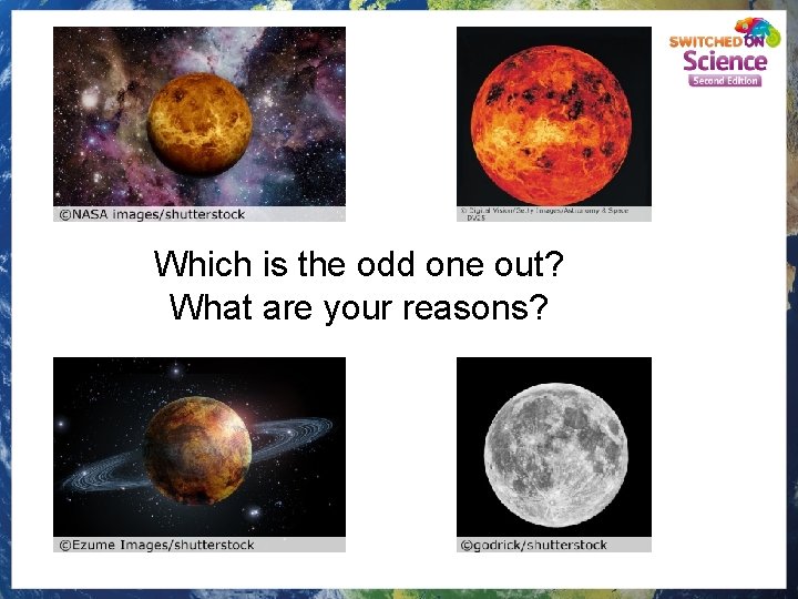 Which is the odd one out? What are your reasons? 