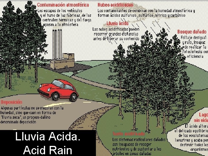 Lluvia Acida. Acid Rain 