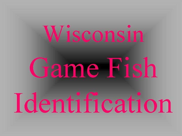 Wisconsin Game Fish Identification 