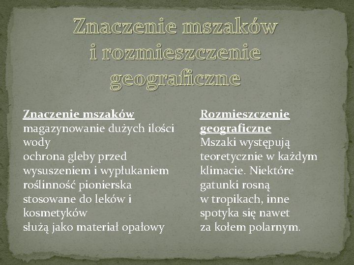 Znaczenie mszaków i rozmieszczenie geograficzne Znaczenie mszaków magazynowanie dużych ilości wody ochrona gleby przed