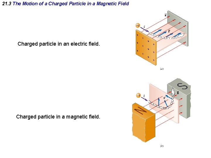 21. 3 The Motion of a Charged Particle in a Magnetic Field Charged particle