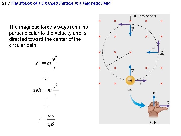 21. 3 The Motion of a Charged Particle in a Magnetic Field The magnetic